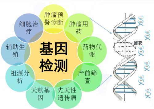 皮肤科的三大卓越领域，精准诊断、创新疗法与患者教育