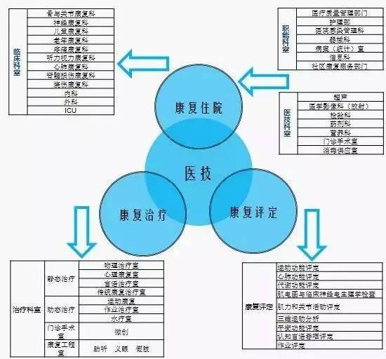 皮肤科科室发展规划，创新、整合与患者为中心的未来蓝图