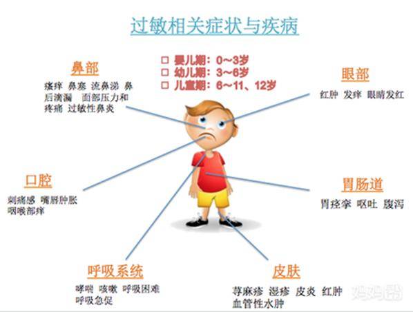 皮肤过敏的应对策略，科学用药与综合管理