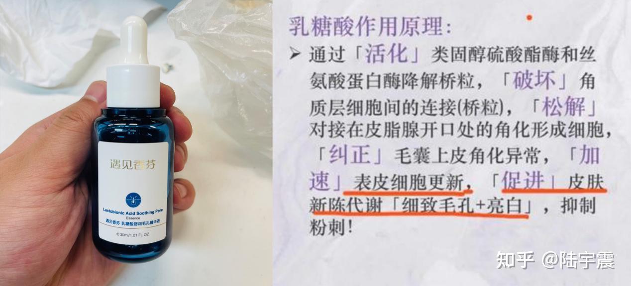 法斗皮肤病大全，全面解析与应对策略