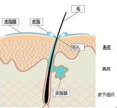 新闻中心 第30页