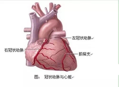 血液皮肤病，从图片中窥见隐秘的肌肤之痛