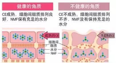 皮肤斑疹的成因探析，从内到外的健康密码