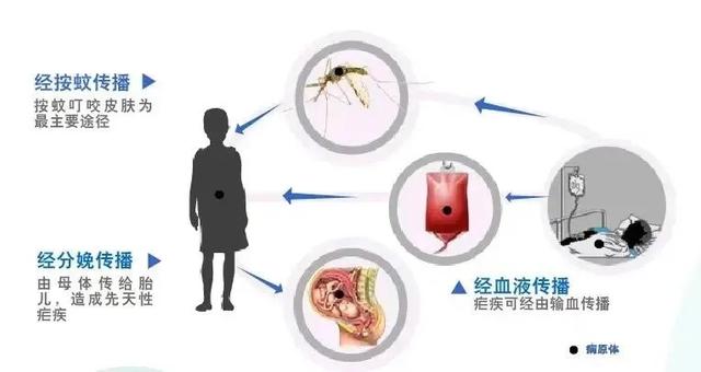 揭秘三大常见皮肤病，成因、症状与预防策略