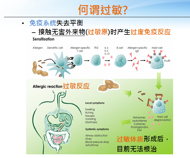 皮肤瘙痒与红点，探寻背后的原因与应对策略