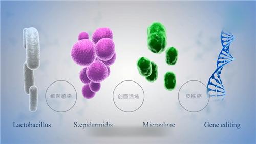 南京皮肤病研究所专家介绍，专业力量守护肌肤健康