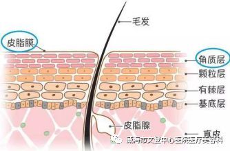 皮肤皮炎的成因探析，从日常接触到深层机制的全面解析