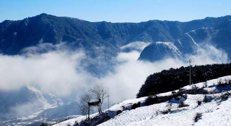 冬天腿部皮肤干燥起屑的应对策略，温柔呵护，告别雪花肌