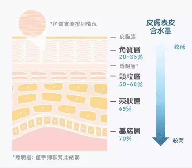 超逸绝尘 第264页