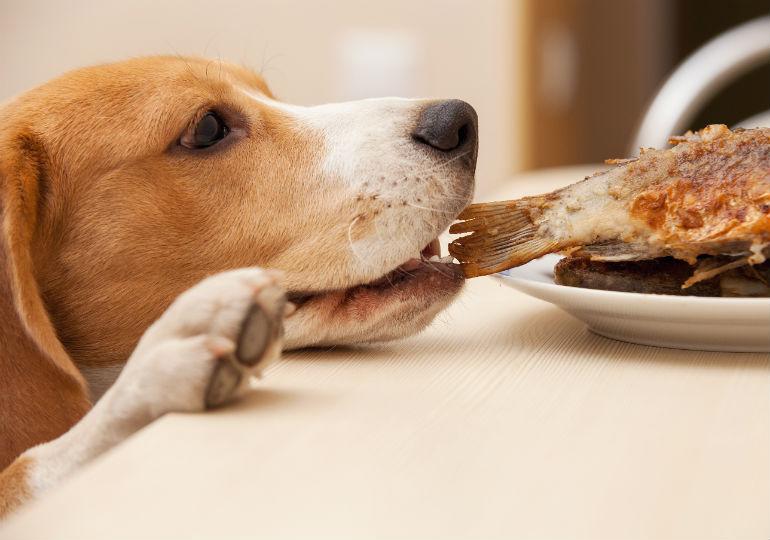 皮肤病患者饮食禁忌全解析，哪些食物需谨慎食用？