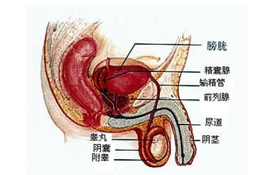 怎样准确判断皮肤病的种类，从症状到专业诊断的全面指南