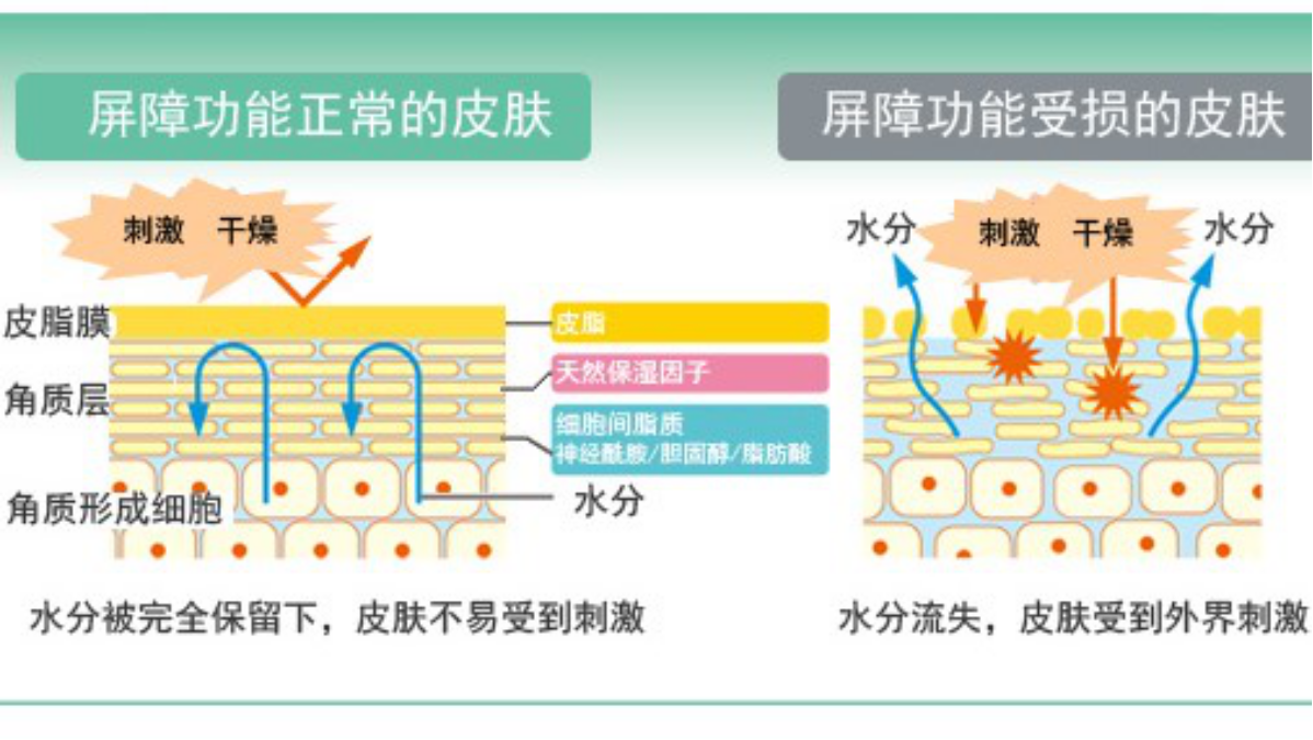 揭秘治疗皮肤痒的特效药，科学解密与日常护理并重