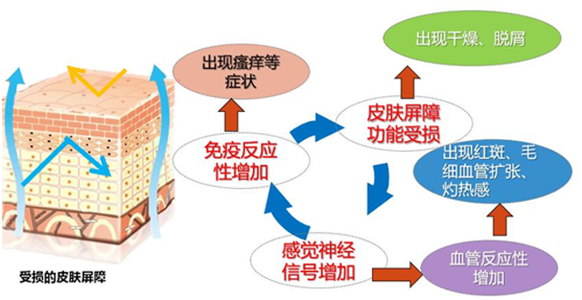 皮肤瘙痒的应对策略，科学用药与日常护理的双重奏