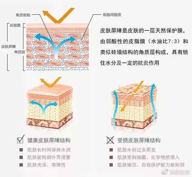 皮肤屏障受损皮炎的快速修复指南