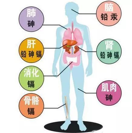 皮肤病根源探析，从中医角度解析脏器与皮肤健康的关系