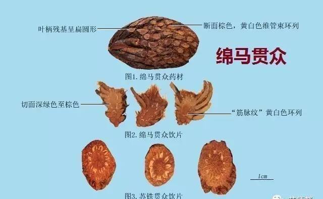 皮肤病大全，图片识别与科学认知