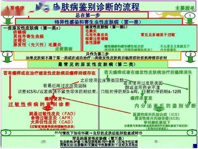 皮肤病诊疗指南，全面、科学、个性化的治疗路径