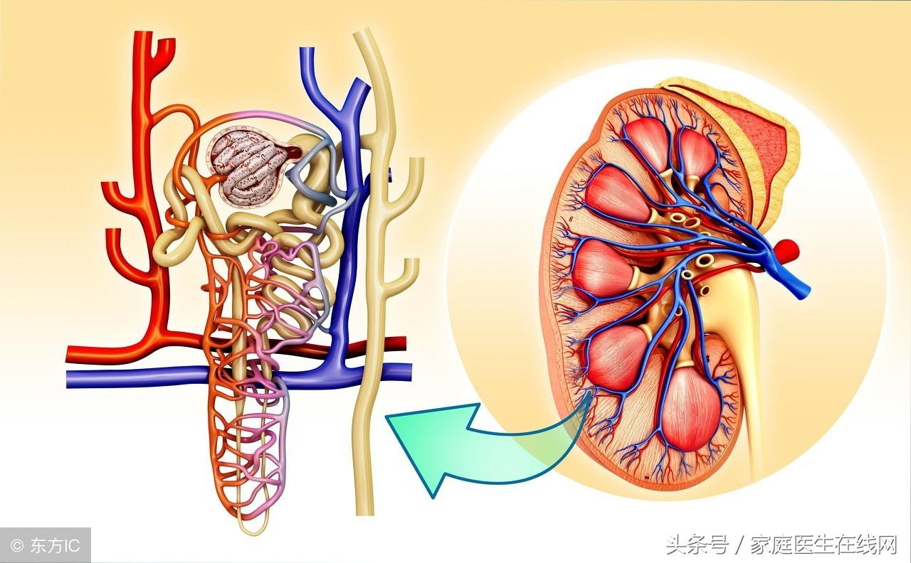 乌黑亮丽的头发，自信与美丽的源泉