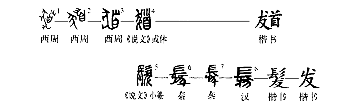 探秘汉字发在头发一词中的读音，一声的奥秘