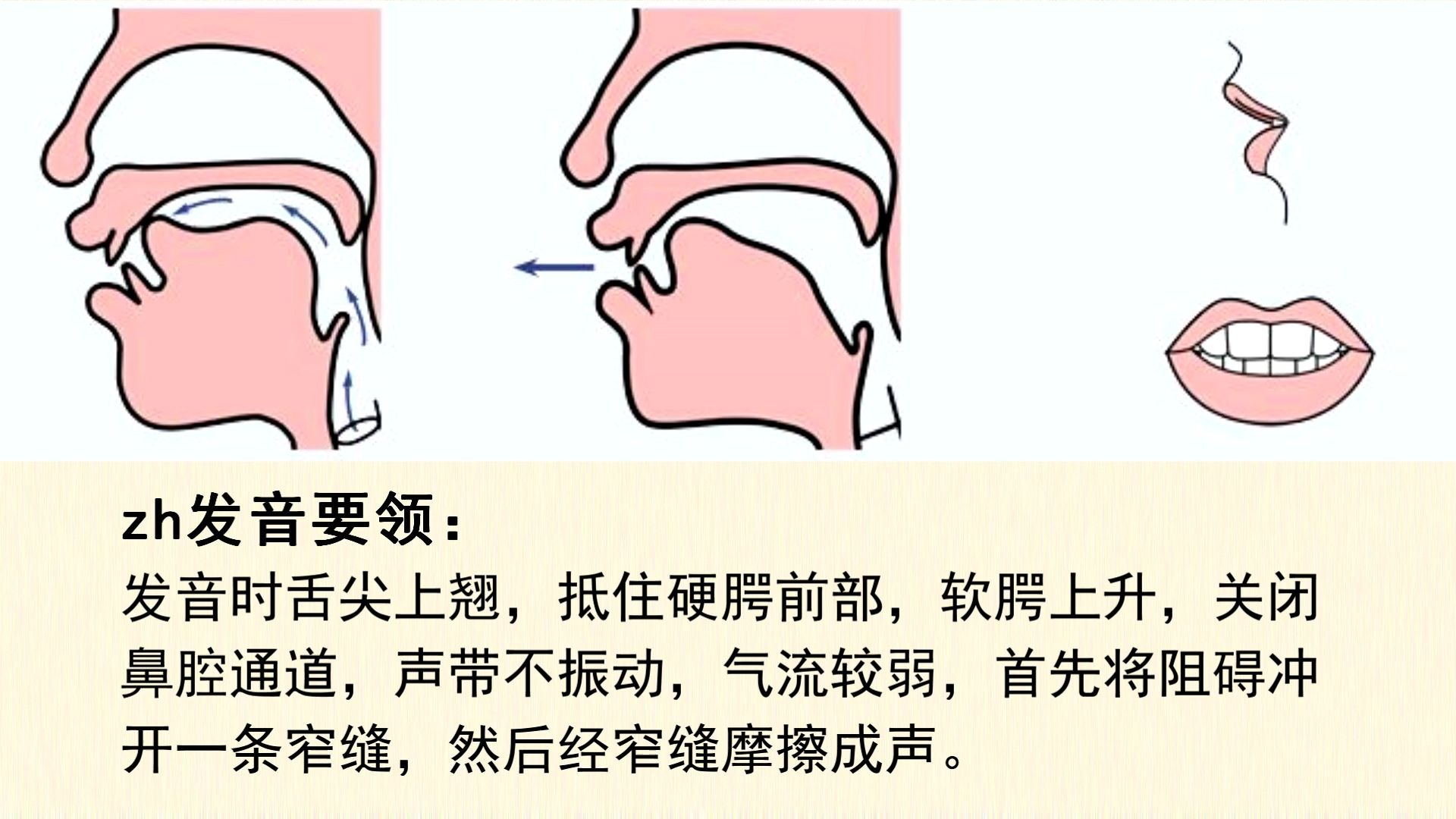 头发的拼音与声调探索