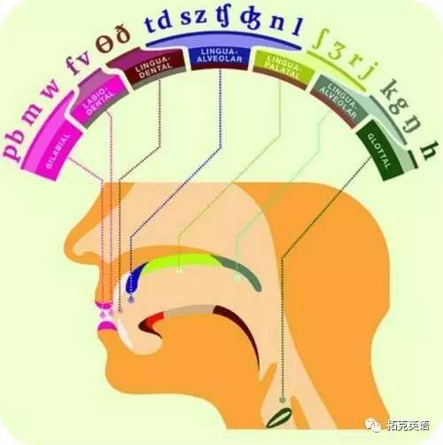 头发的正确拼音，解锁语言之美的细节