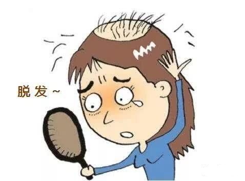 女人掉头发厉害，探寻背后的原因与应对策略