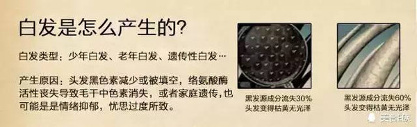 头发变白后能否再次变黑？—— 知乎网友的探讨与科学解析