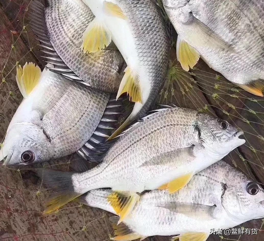 皮肤病忌口的食物一览表，科学饮食，守护肌肤健康