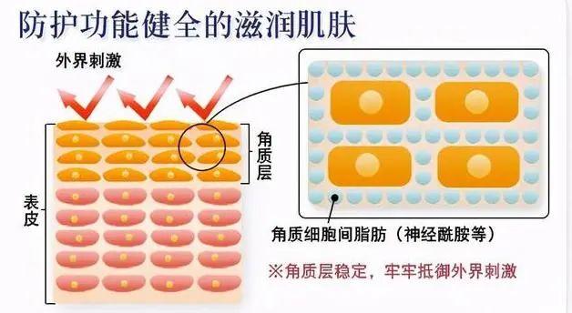 揭秘2023年全国皮肤科顶尖医院排名，专业守护每一寸肌肤的健康防线