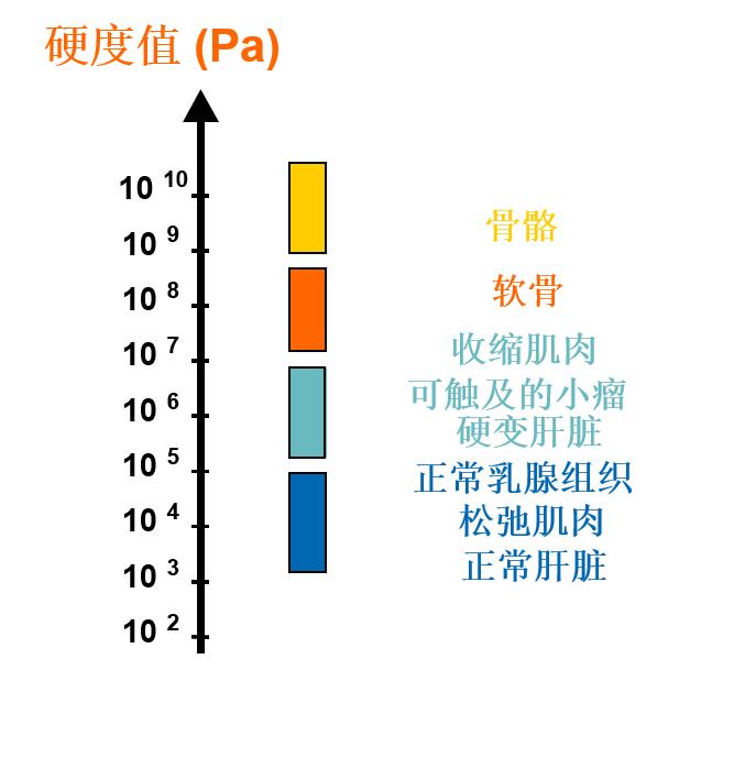 肝脏硬度kPa正常值详解，健康守护的数字密码