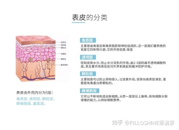 皮肤站使用指南，全面解析如何高效利用皮肤管理站