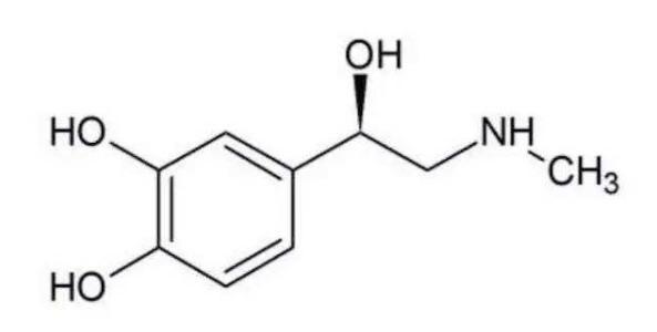 皮肤奥秘，揭秘其七层结构与厚度分布图