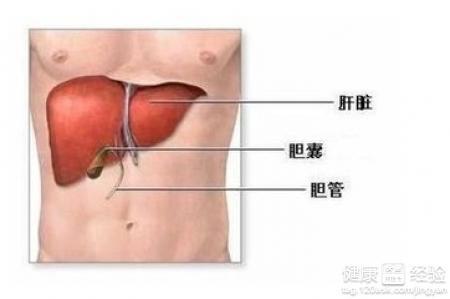 肝脏钙化灶，解读其含义与严重性