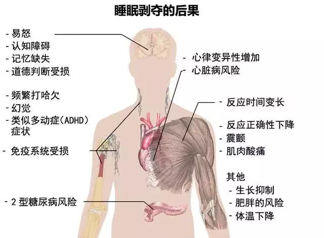 肝脏最怕的三种食物，守护健康的饮食警戒线