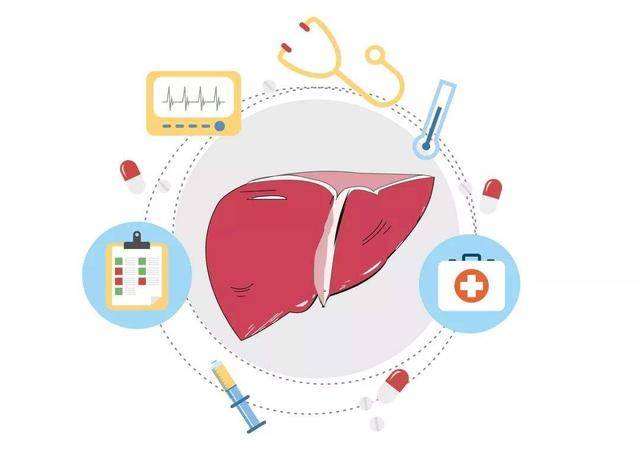 肝脏不好怎么办？科学饮食指南助你恢复健康