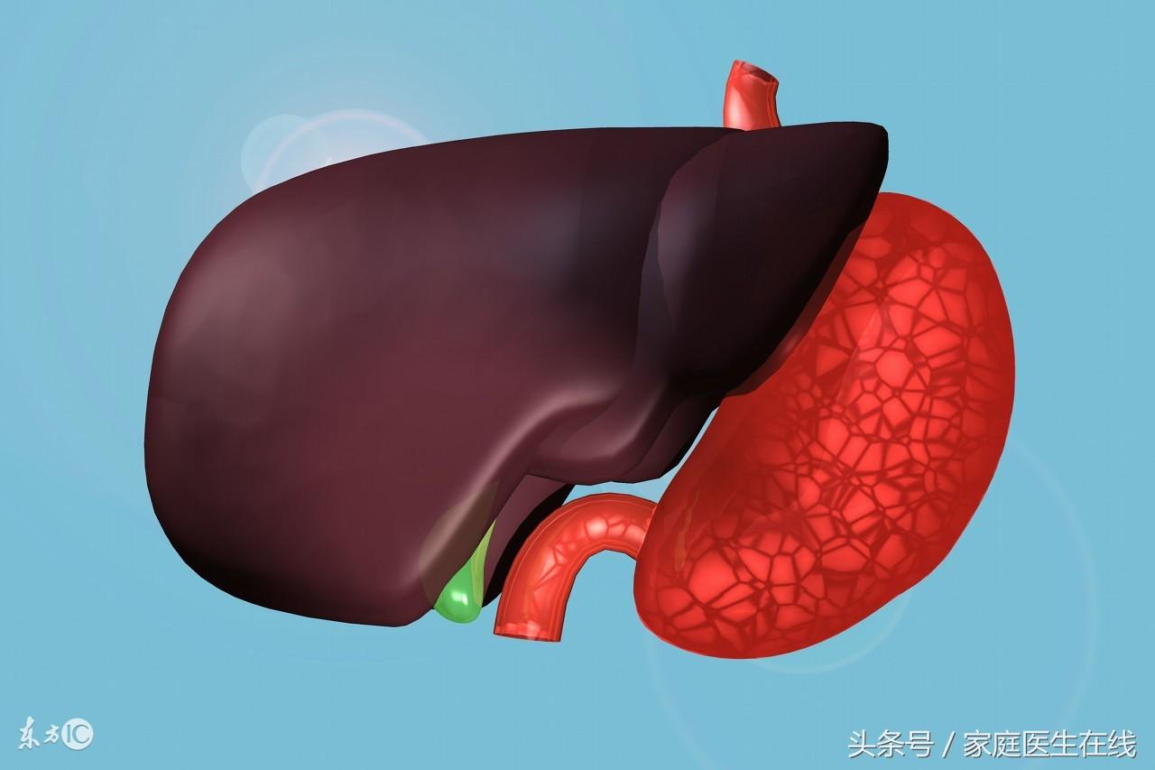 肝脏健康警报，识别肝脏出现问题的表现