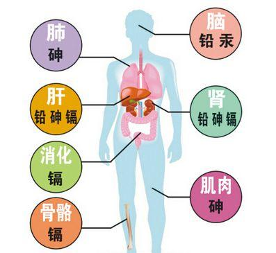 肝脏不好的人，这些食物请务必远离！——揭秘背后的原因与健康风险