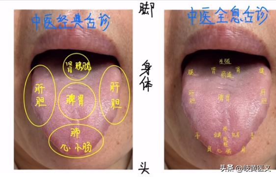 肝脏的奥秘，探索高清肝脏结构图片的奇妙世界