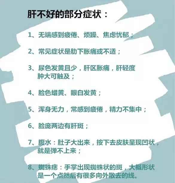 肝脏，生命之舟的守护者——揭秘其不可或缺的生理功能