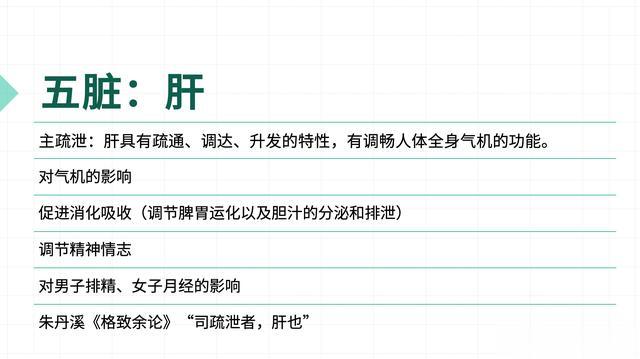 中医视角下的肝脏主要作用探析