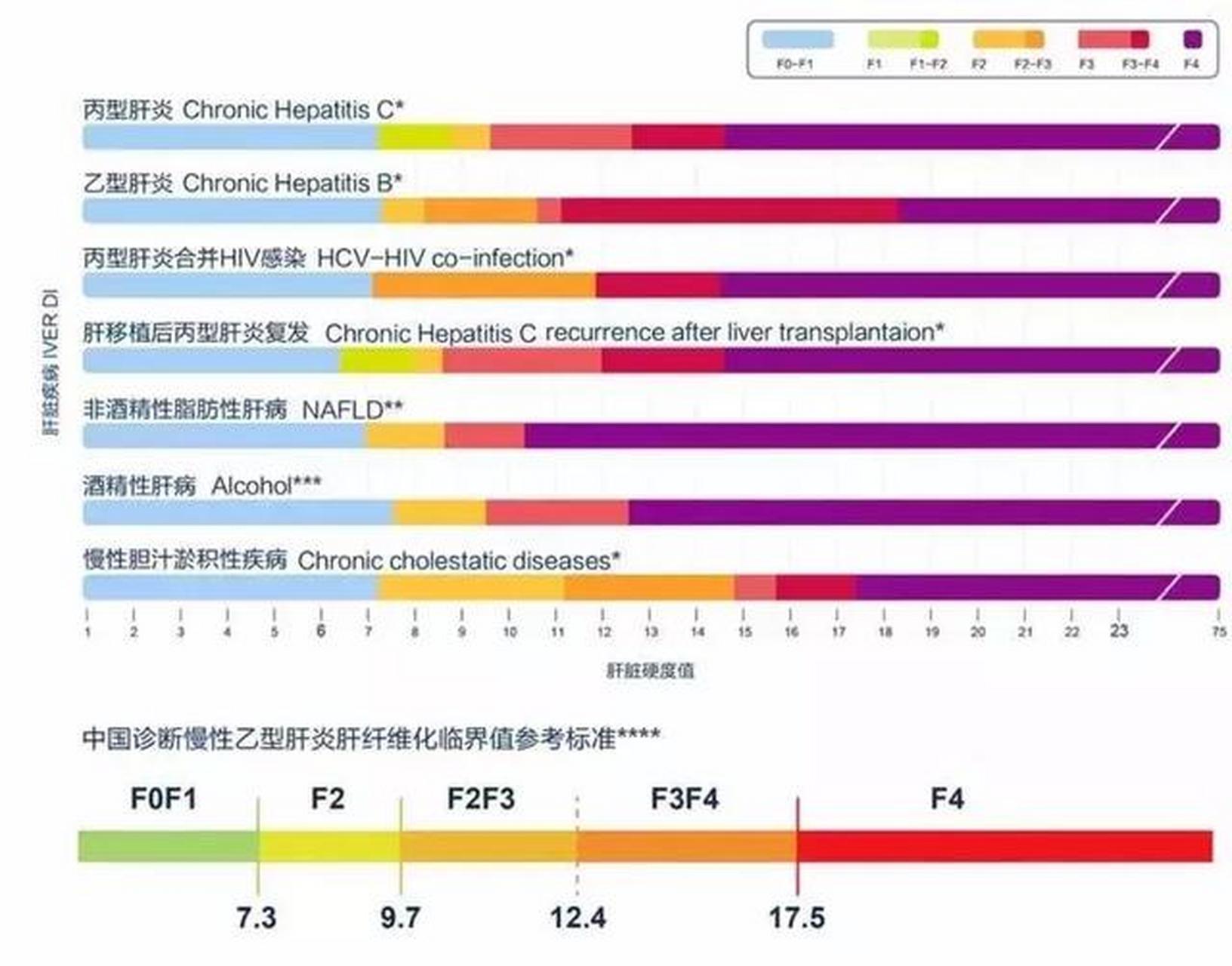 肝脏硬度kPa正常值，Mead法评估的深度解析