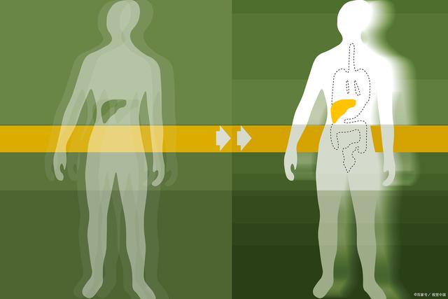 肝脏硬度kPa正常值解析，7.6kPa的背后意义