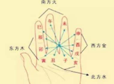 肝脏，生命之舟的守护者——解析其关键功能