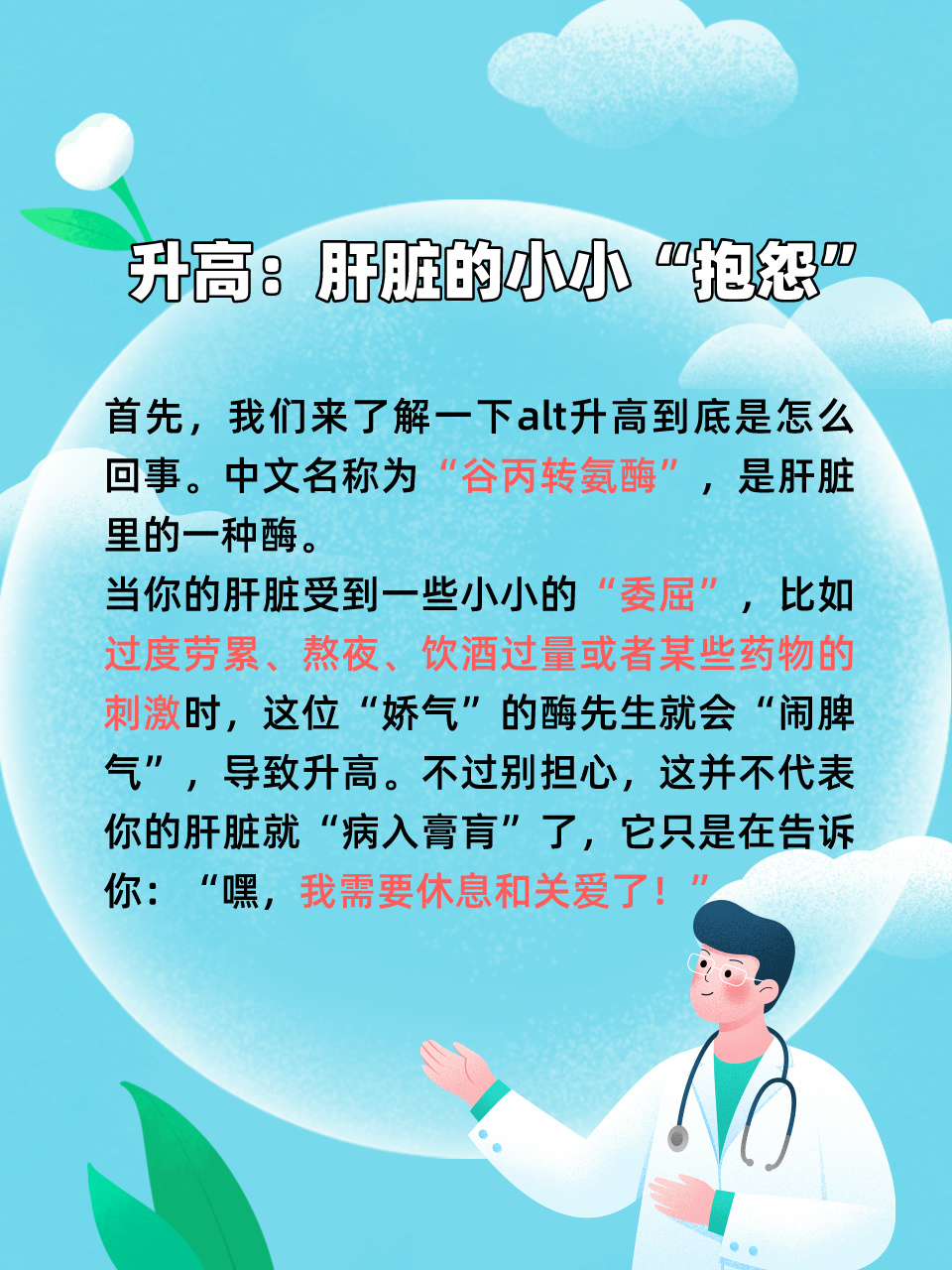 肝脏的拼音与健康奥秘，一场无声的守护