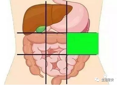 腹部肝脏位置图，探索人体内的重要器官