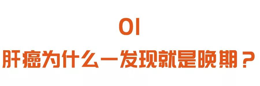 人体结构中的肝脏位置图，探索肝脏的奥秘