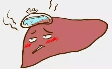 肝脏出了问题，你不可不知的五大症状