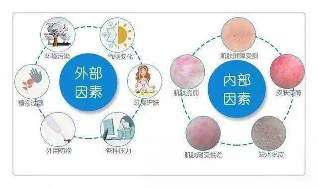 手臂皮肤痒，原因、应对策略与日常护理指南