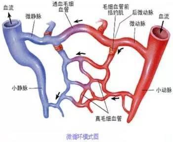 脸上皮肤泛红，原因、影响与应对策略