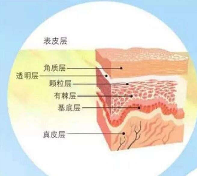 皮肤痒，身体信号的警钟与可检测的医学依据